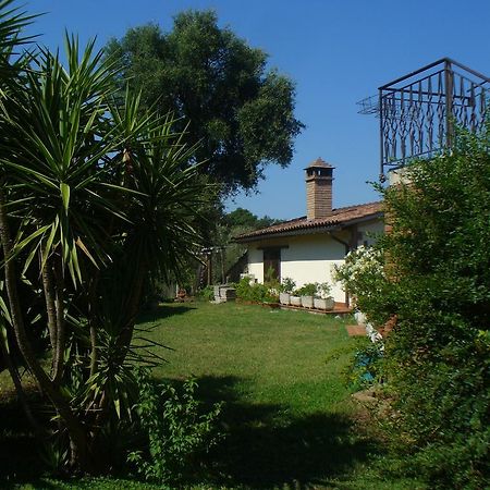 Villetta In Maremma La Pescaia Luaran gambar
